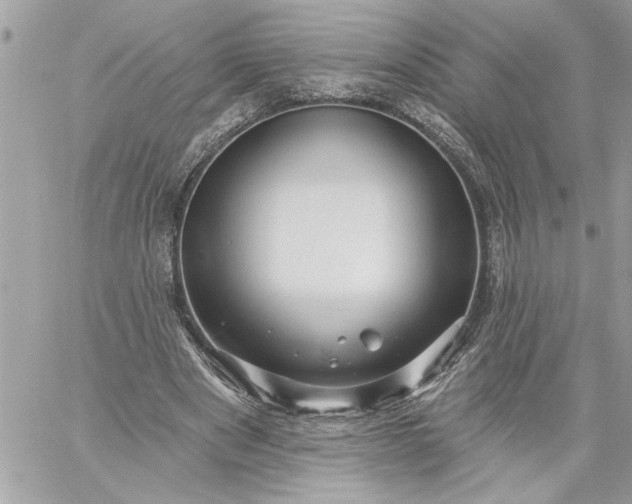 X0000059060489200510171943