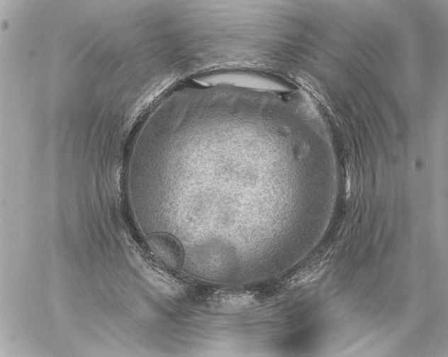 X0000059060491200510171943