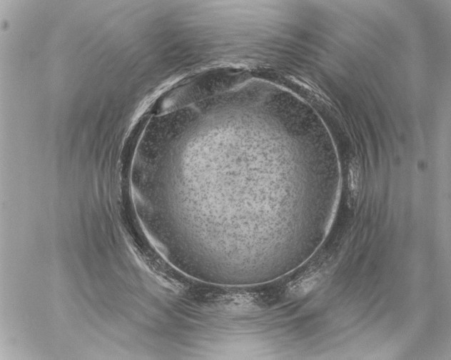 X0000059060492200510171943