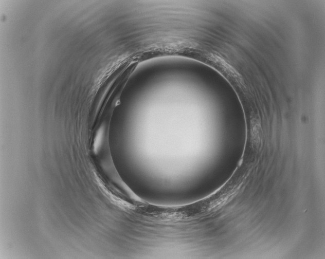 X0000059060493200510171943