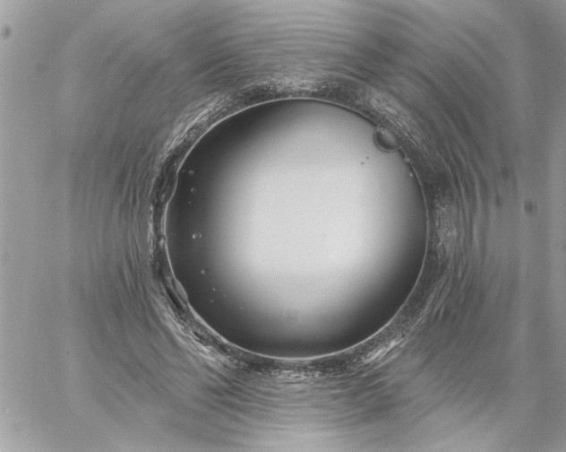 X0000059060494200510171943