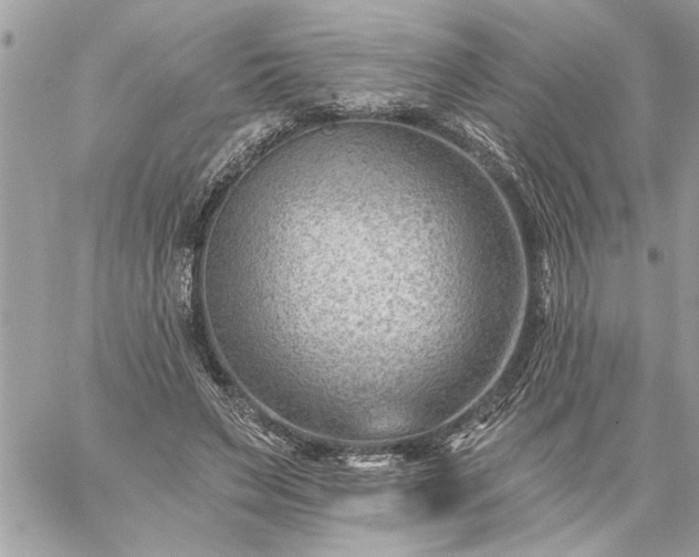 X0000059060495200510171943