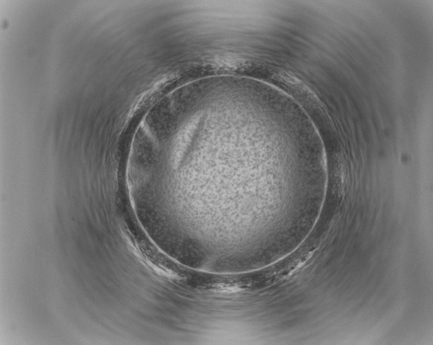 X0000059060496200510171943