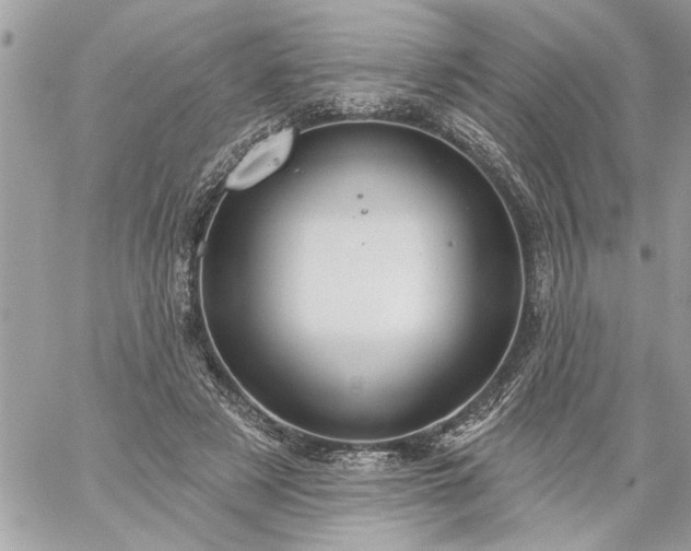 X0000059060497200510171943