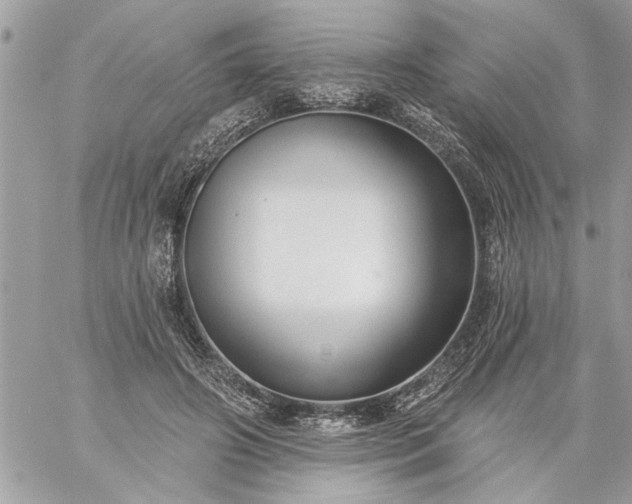 X0000059060498200510171943