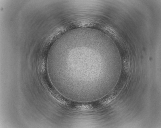 X0000059060499200510171943