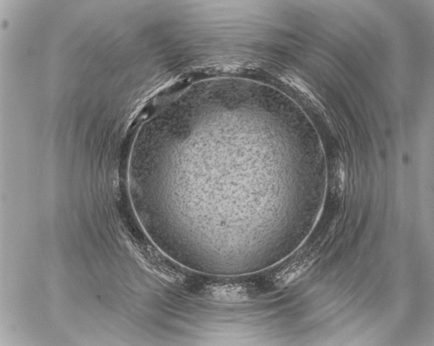 X0000059060500200510171943