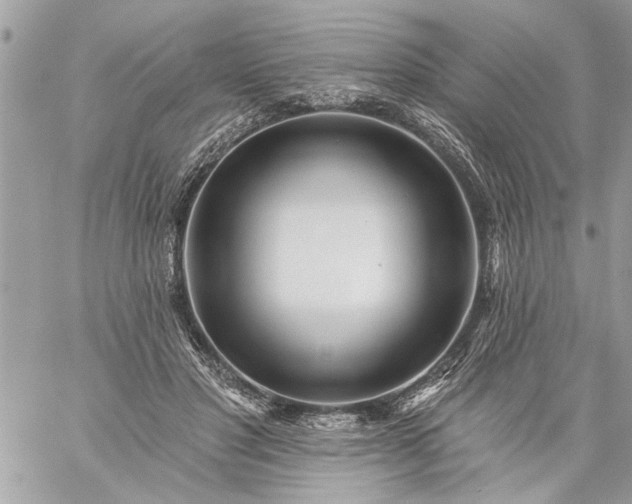 X0000059060501200510171943