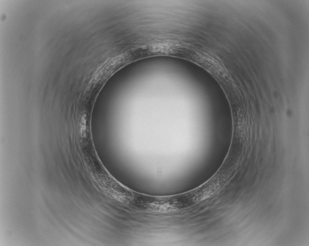 X0000059060502200510171943