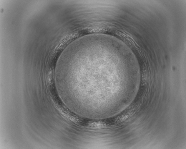 X0000059060503200510171943