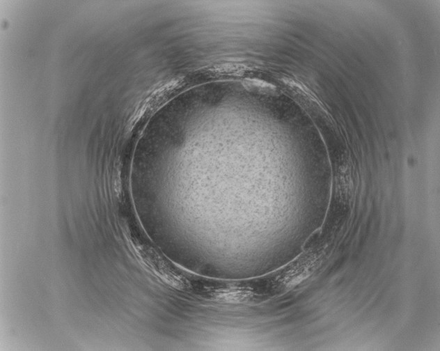 X0000059060504200510171943