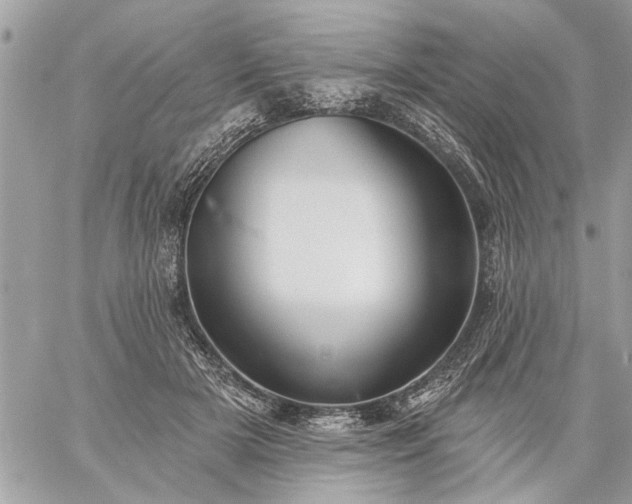 X0000059060505200510171943