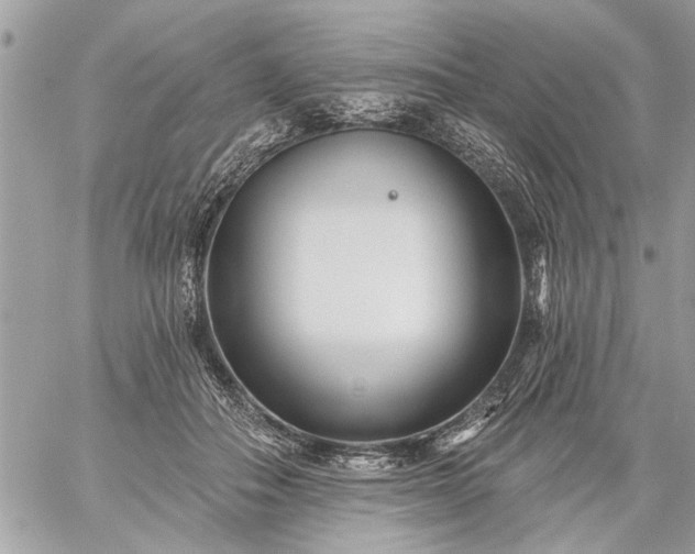 X0000059060506200510171943