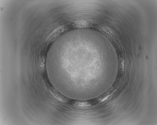 X0000059060507200510171943