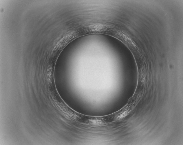 X0000059060509200510171943