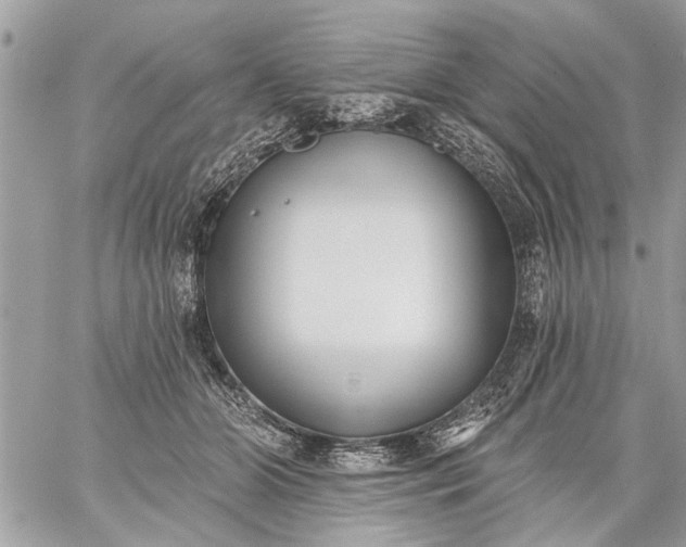 X0000059060510200510171943