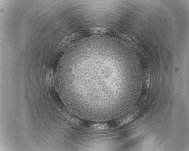 X0000059060511200510171943