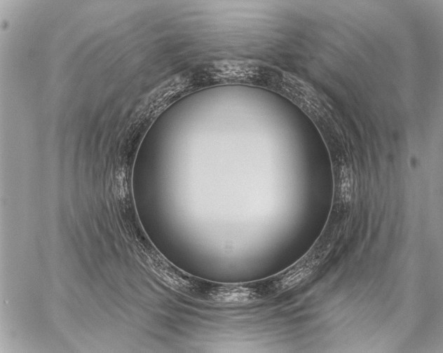 X0000059060514200510171943