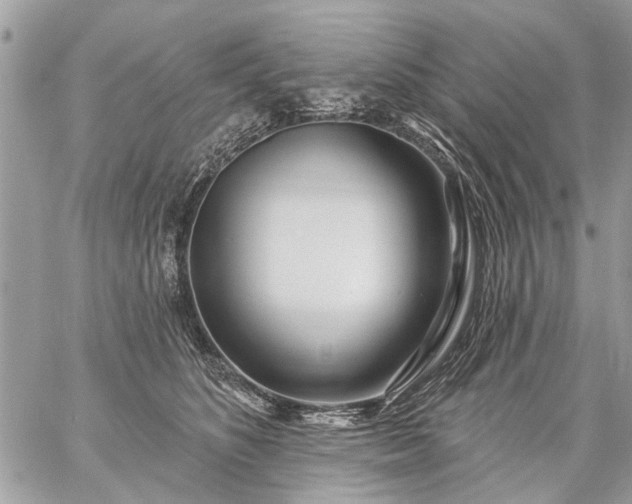 X0000059060516200510171943