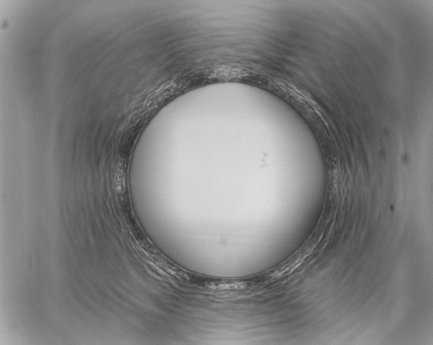 X0000059060517200510171942