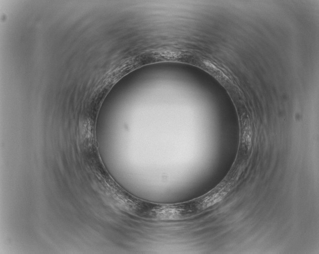 X0000059060518200510171942