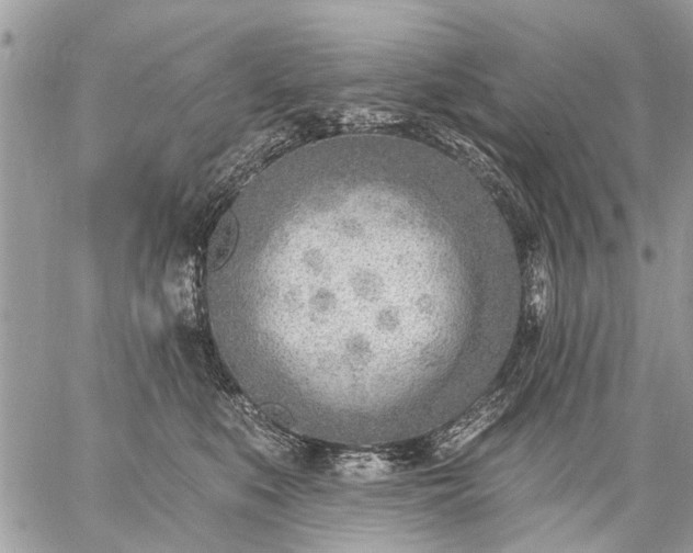 X0000059060519200510171942