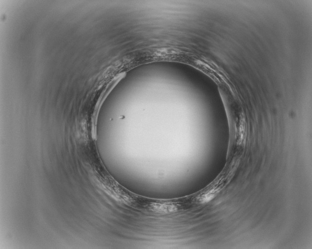 X0000059060520200510171942