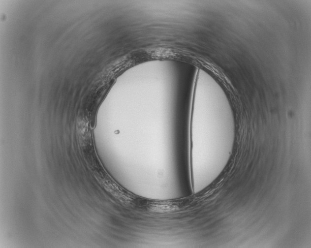 X0000059060521200510171942