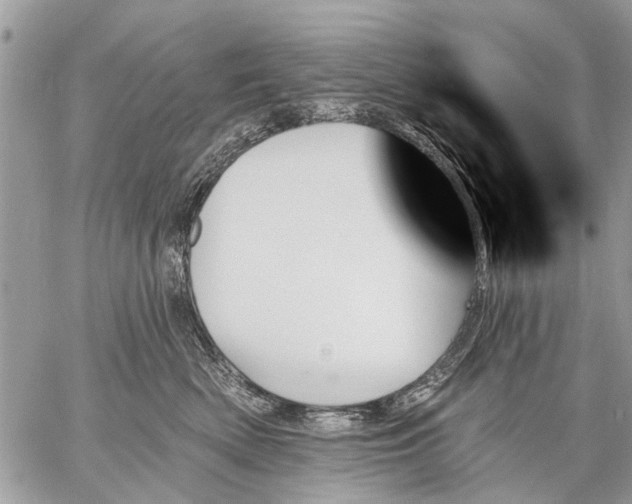 X0000059060522200510171942