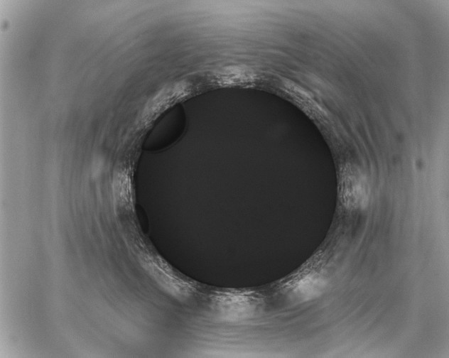 X0000059060523200510171942