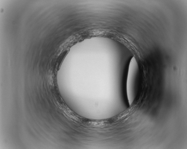 X0000059060524200510171942