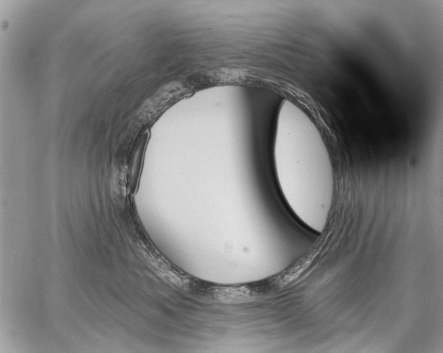 X0000059060525200510171942