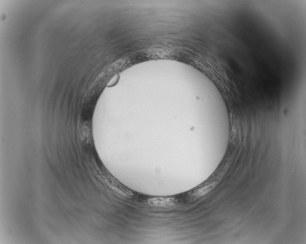 X0000059060526200510171942