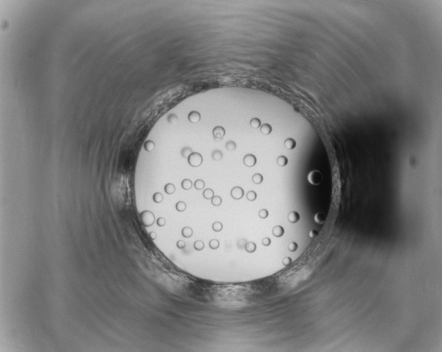 X0000059060527200510171942