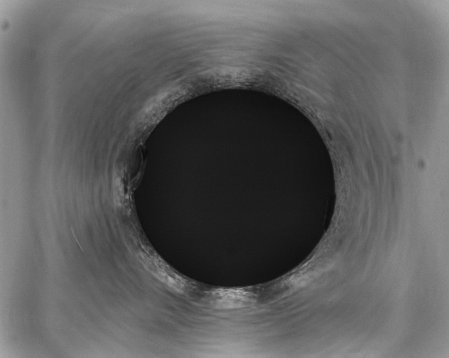 X0000059060528200510171942