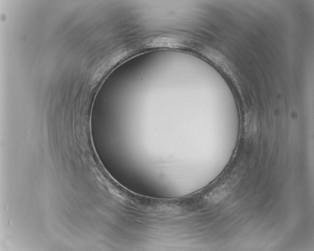 X0000059060529200510171942