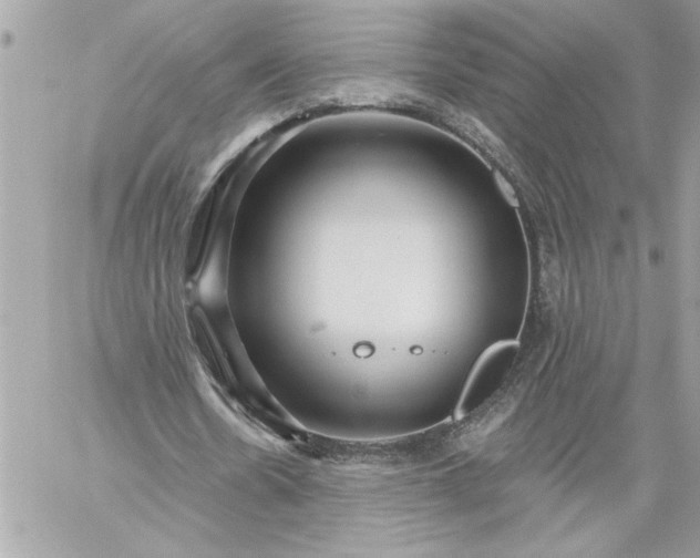 X0000059060530200510171942