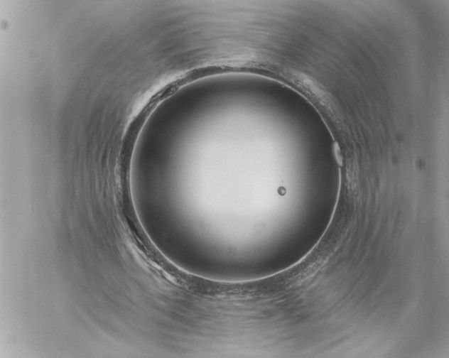 X0000059060532200510171942