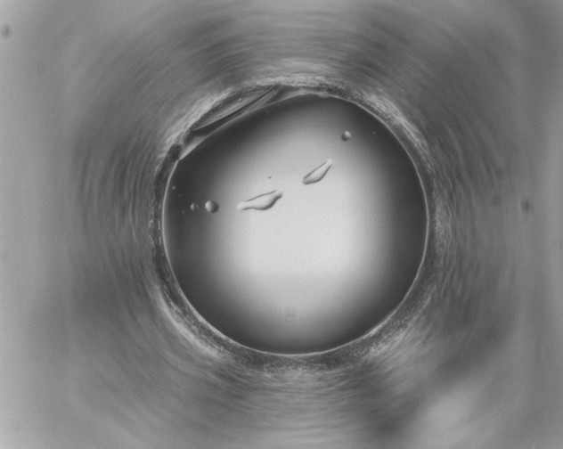 X0000059060533200510171942