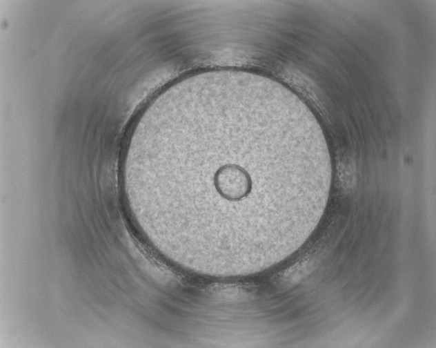 X0000059060534200510171942