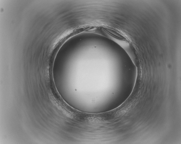 X0000059060535200510171942