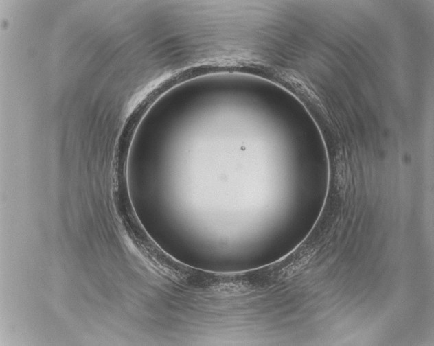 X0000059060536200510171942