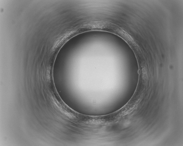 X0000059060537200510171942