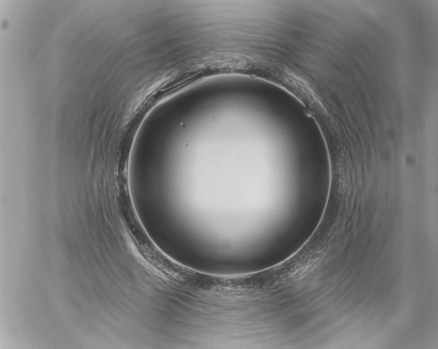 X0000059060538200510171942