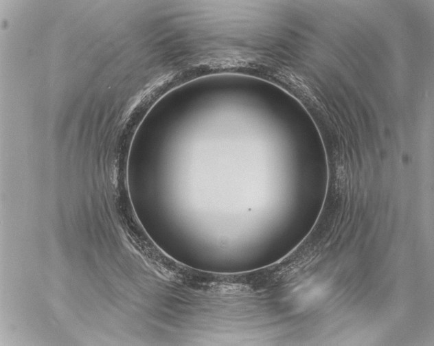 X0000059060539200510171942