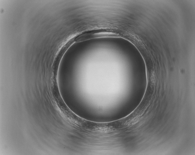 X0000059060540200510171942