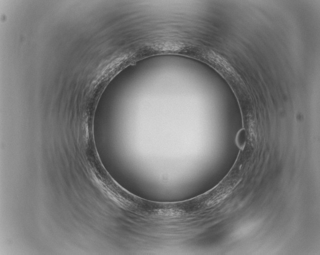 X0000059060541200510171942