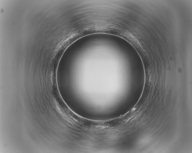 X0000059060542200510171942