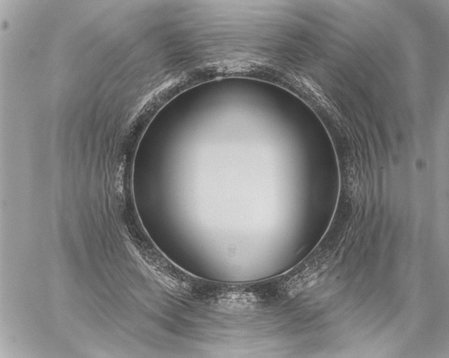 X0000059060543200510171942