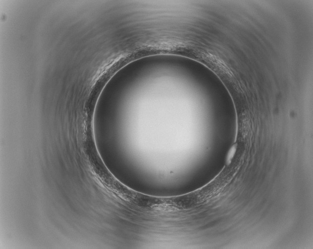 X0000059060544200510171942